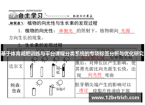 基于体育减肥训练与平台课程分类系统的专项标签分析与优化研究